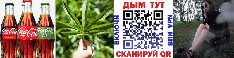 Cannafood конопля  Купить где  Верхняя Пышма 